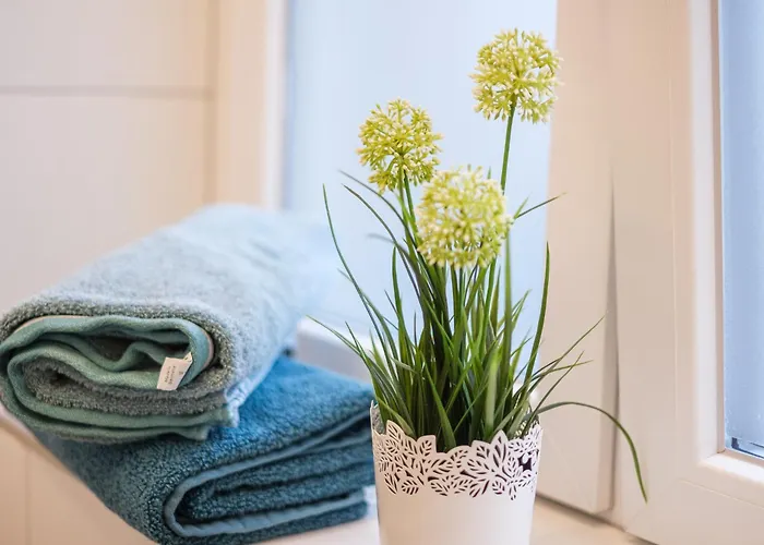 Ulmer Stadtwohnung Appartement *